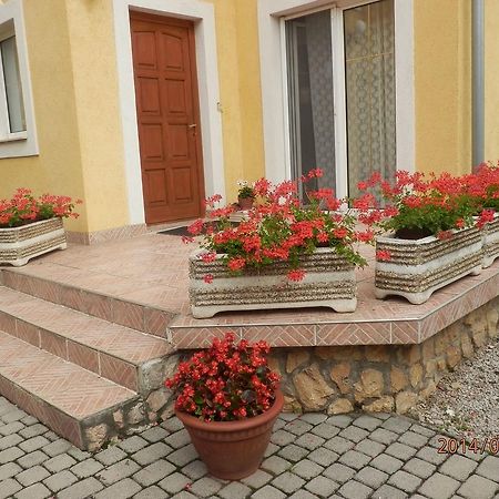 Zsuzsanna Haz Hotel Hévíz Екстериор снимка