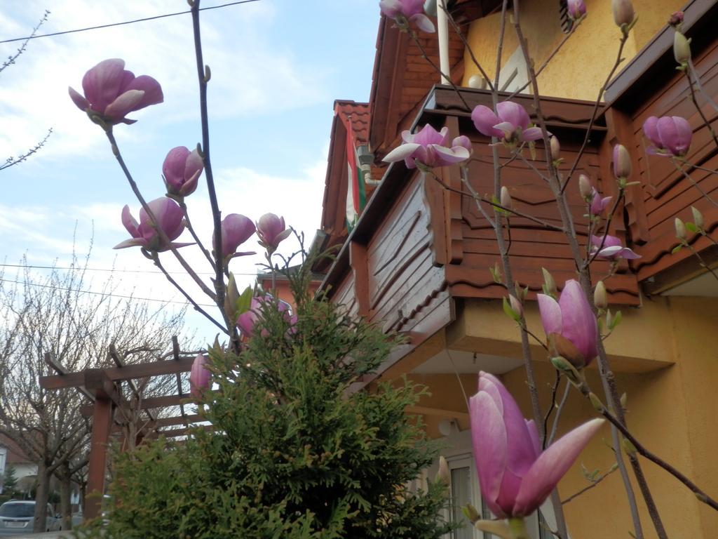 Zsuzsanna Haz Hotel Hévíz Стая снимка